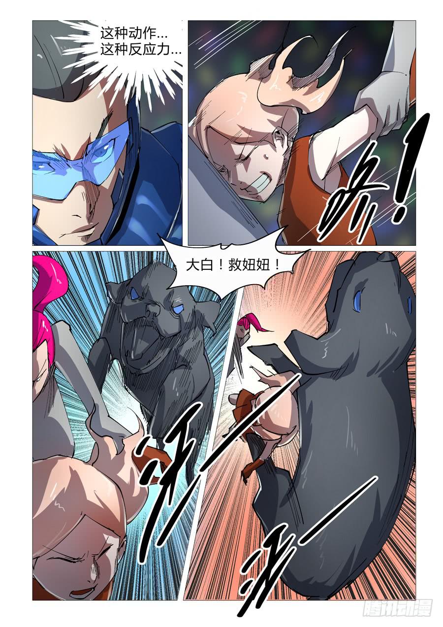 4.jpg