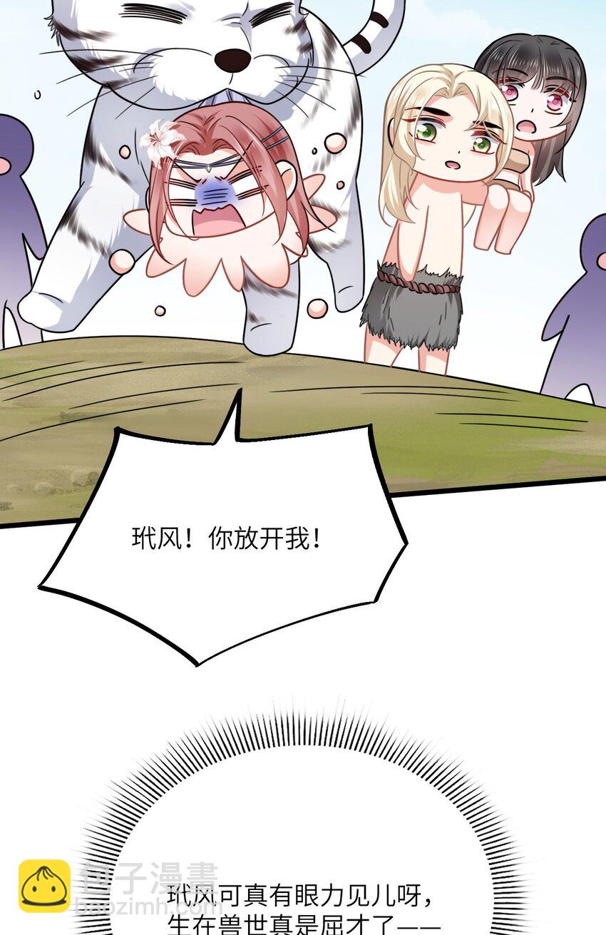 41.jpg
