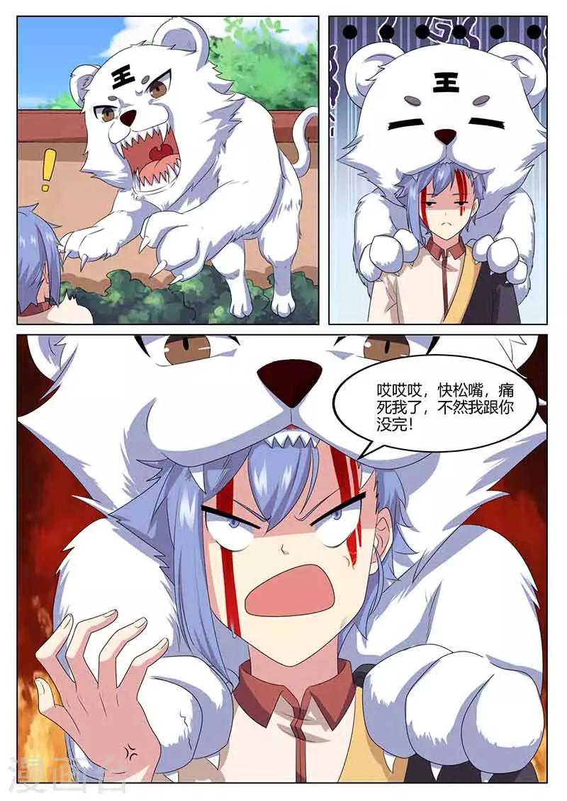 5.jpg
