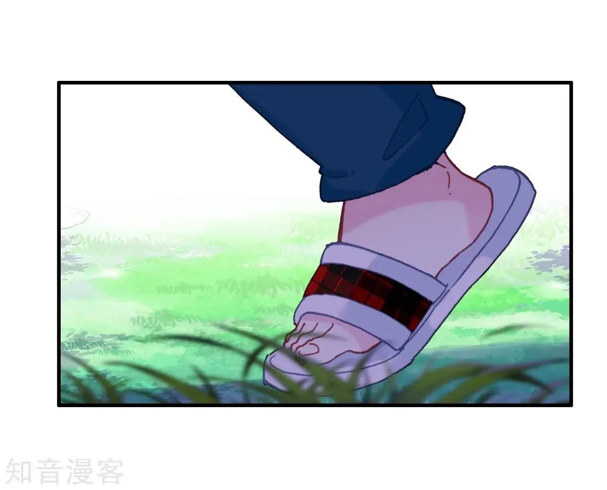 29.jpg