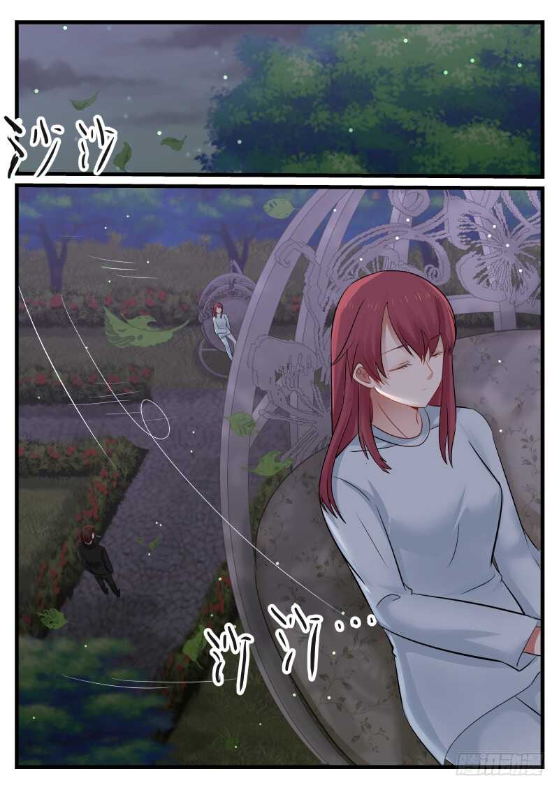 12.jpg