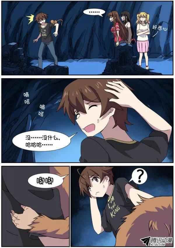 5.jpg
