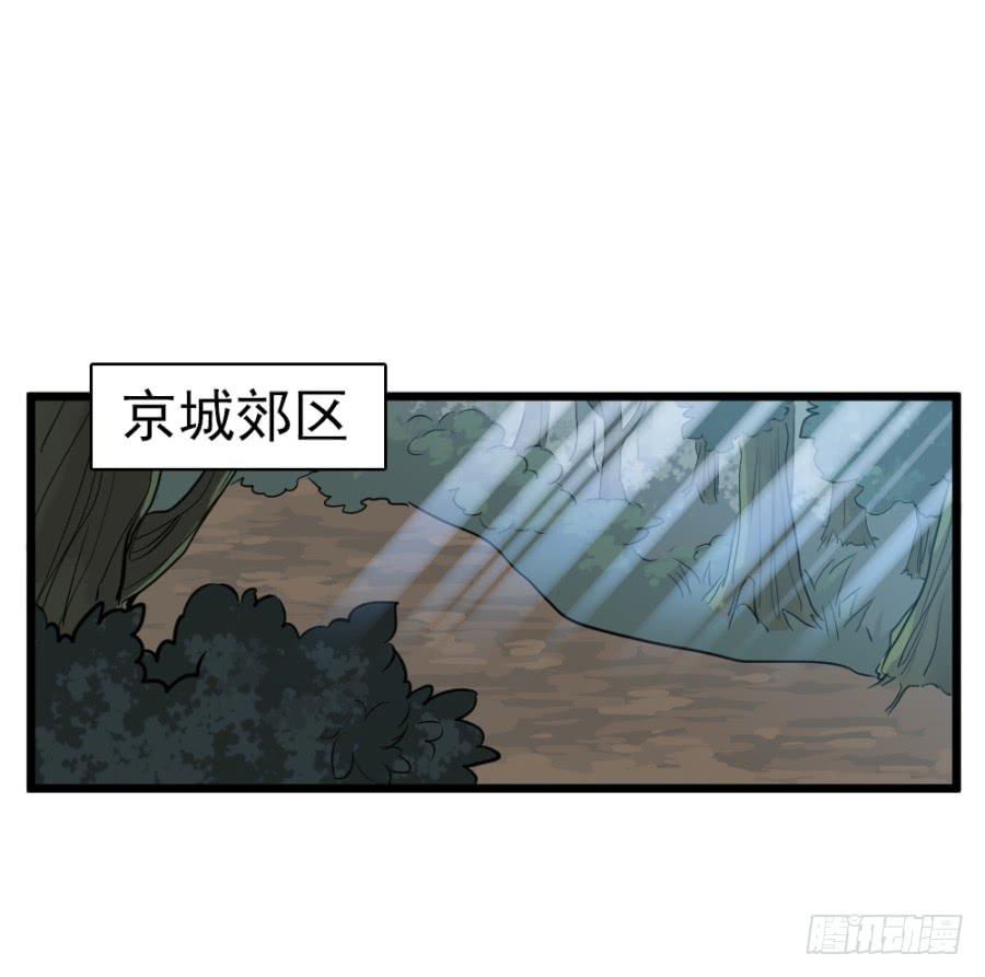 31.jpg
