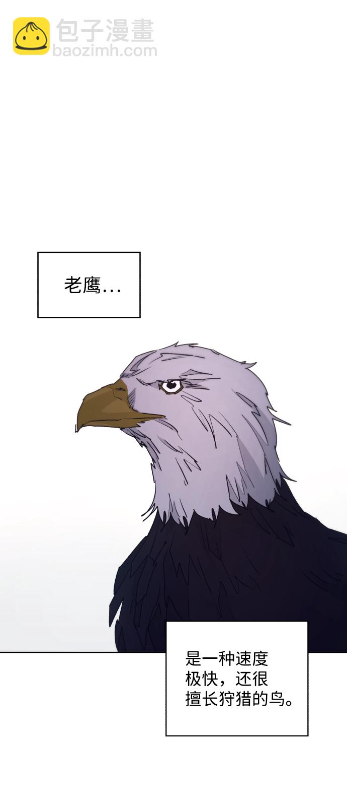 45.jpg