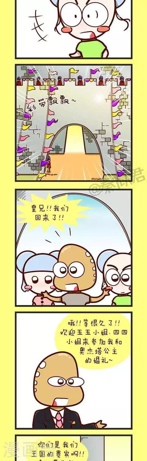 5.jpg