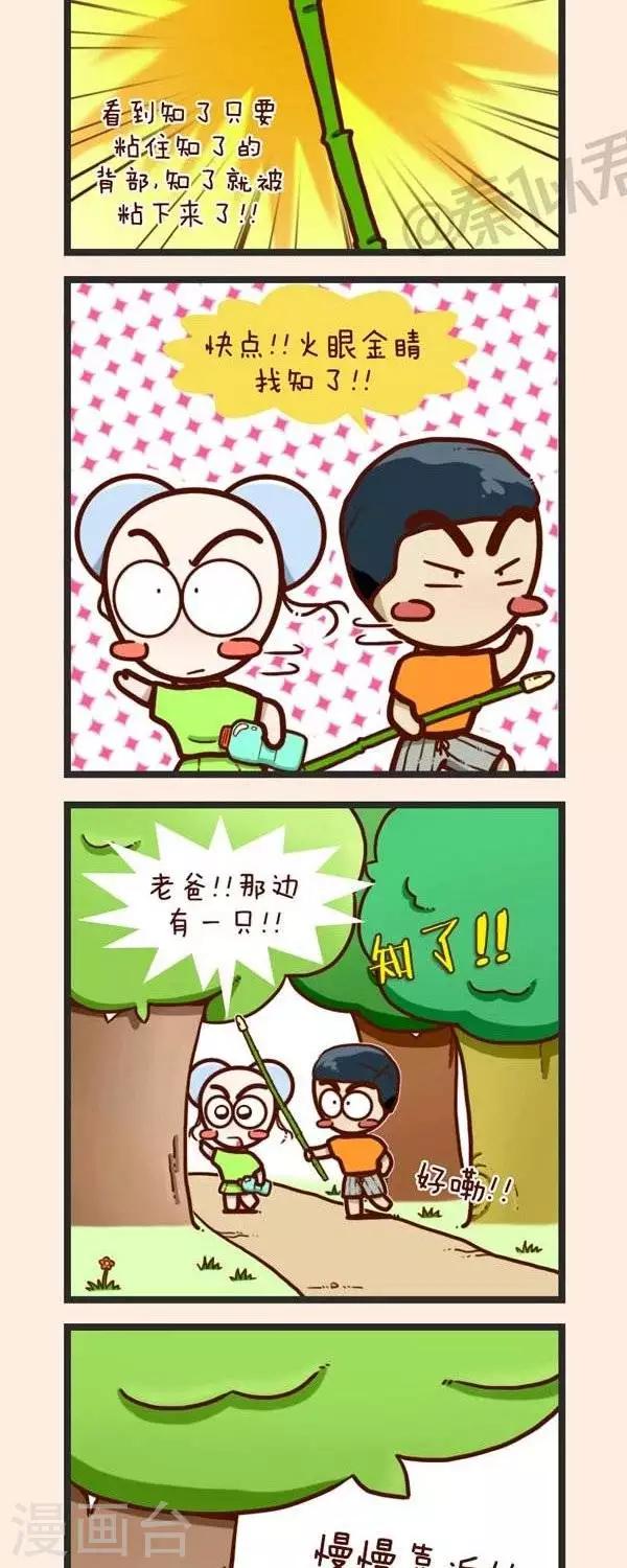 6.jpg
