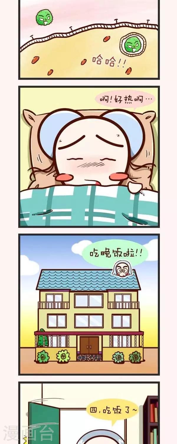 11.jpg