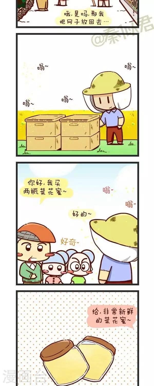 4.jpg