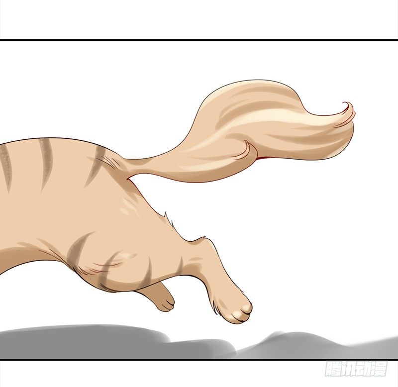 34.jpg