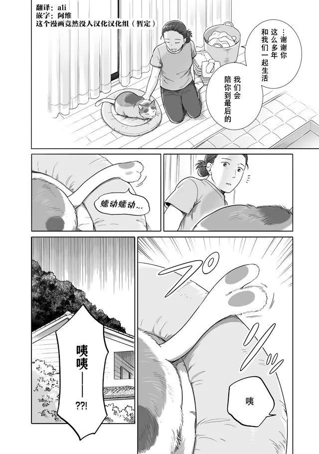 16.jpg