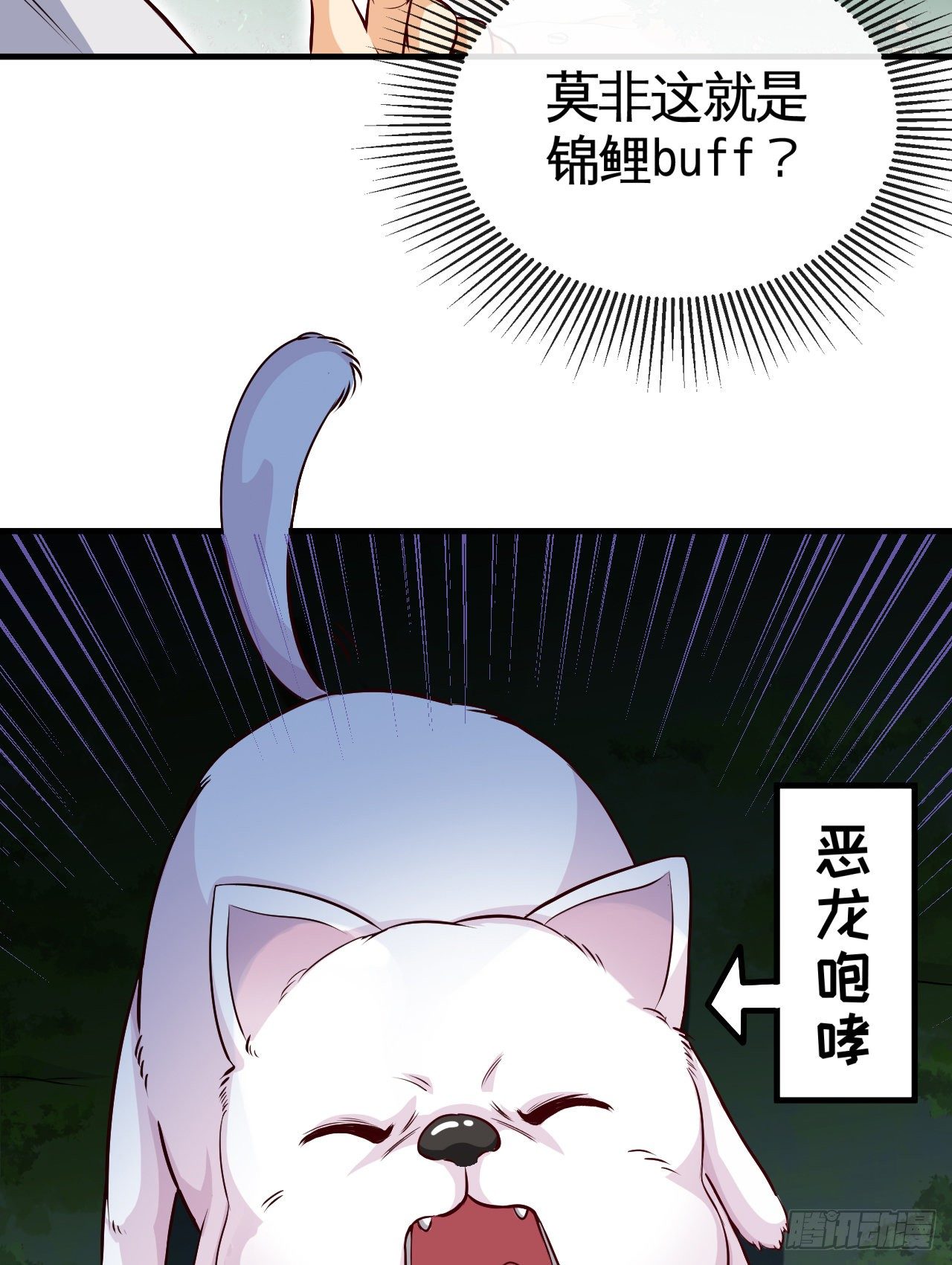 23.jpg