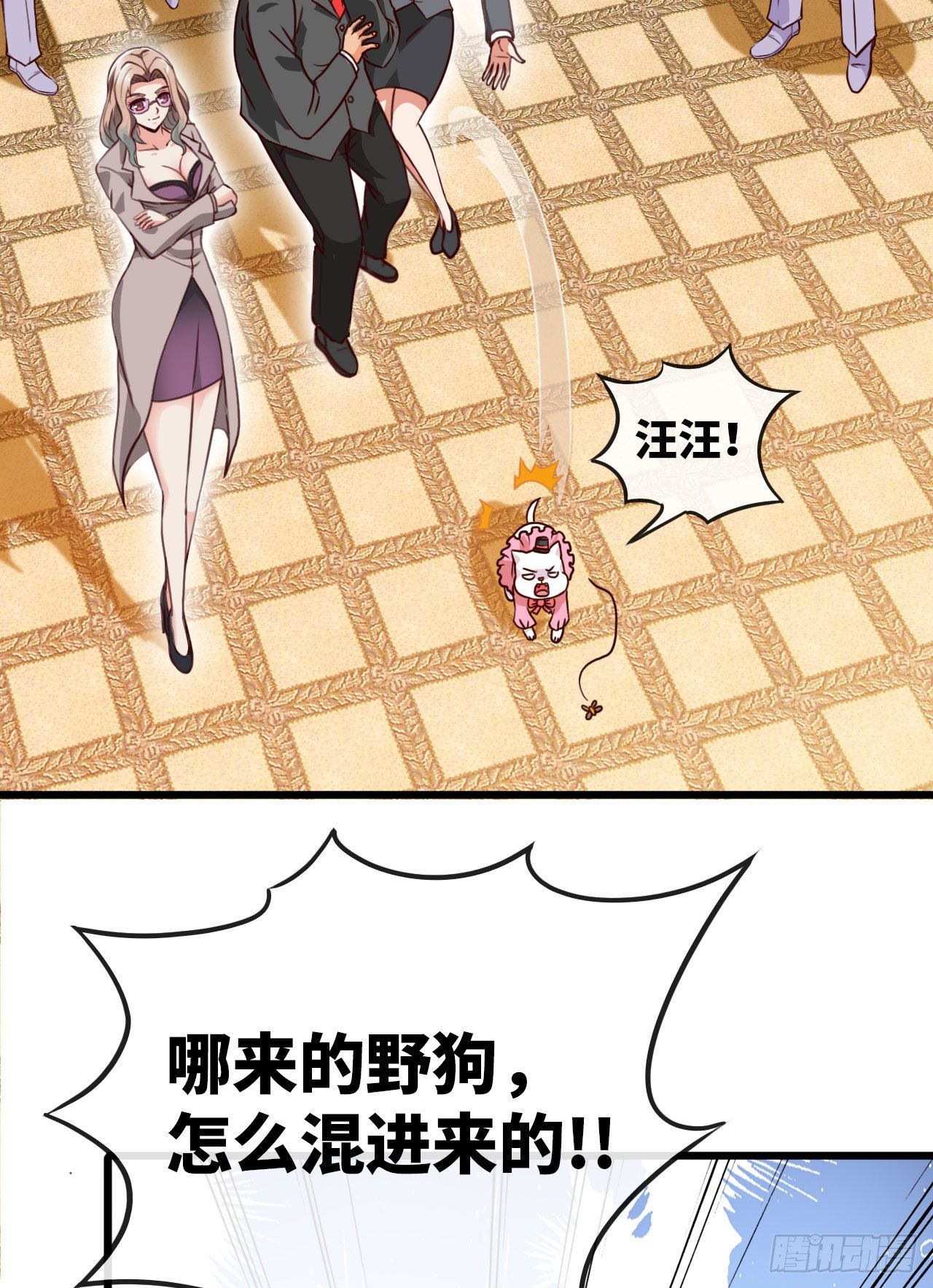35.jpg