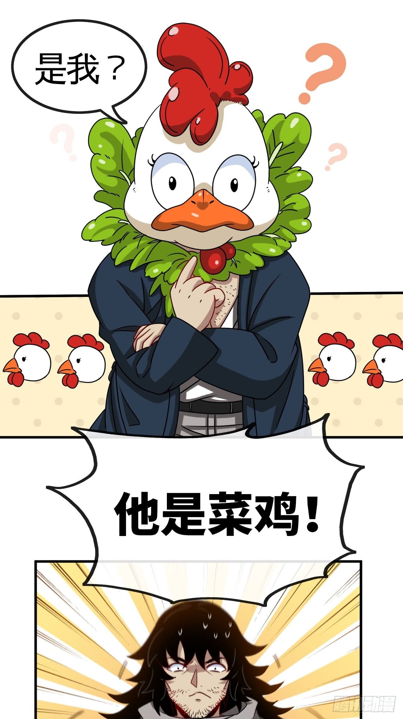 11.jpg