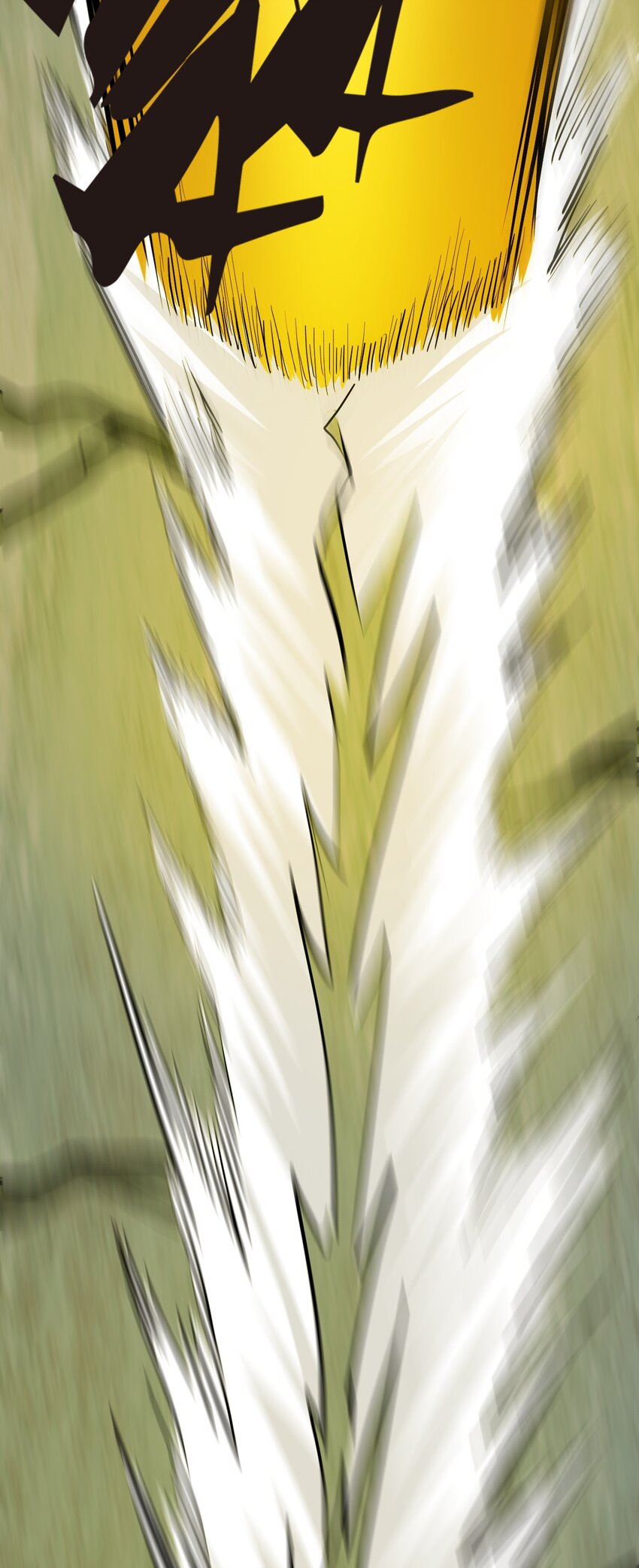 44.jpg