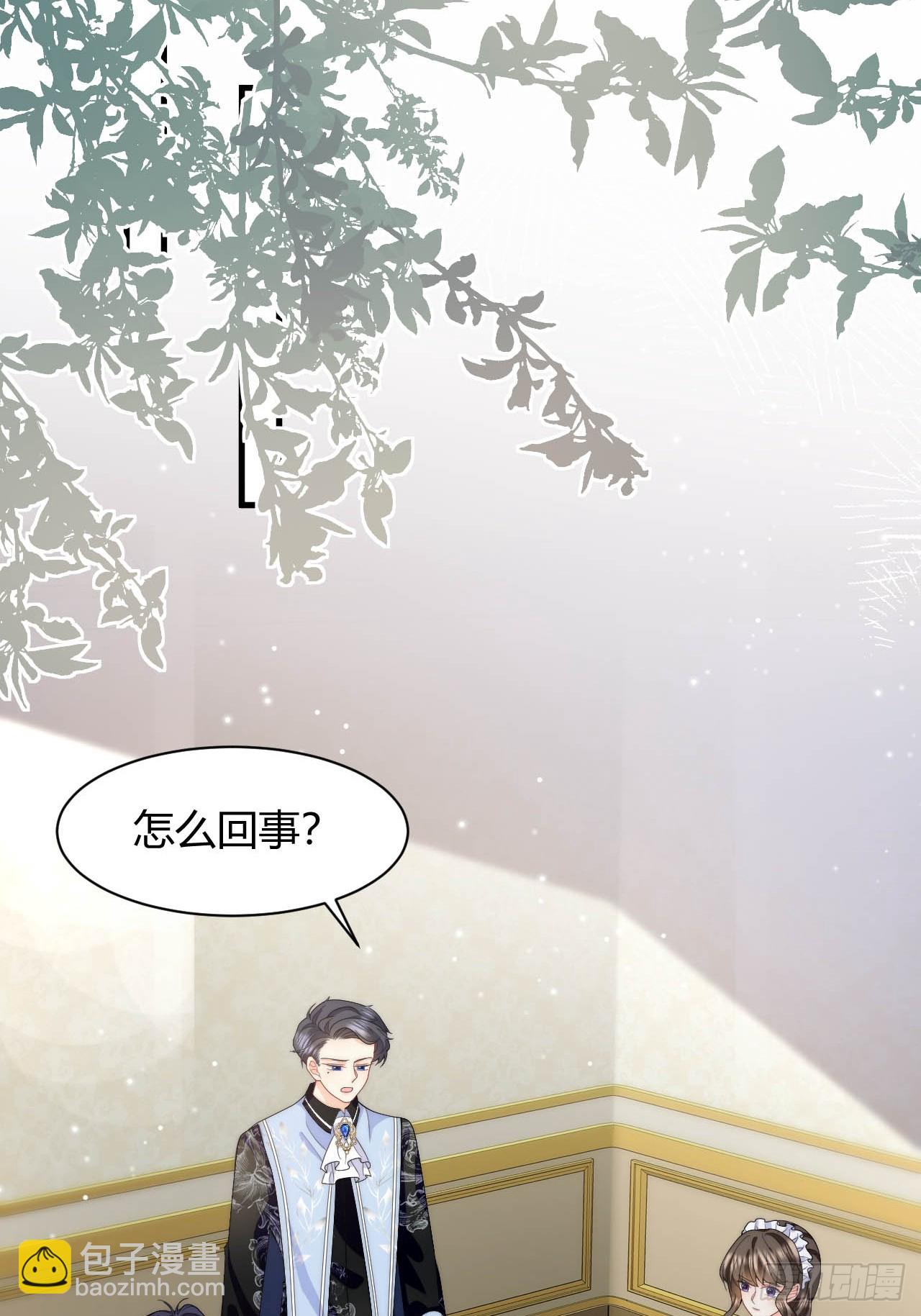 15.jpg