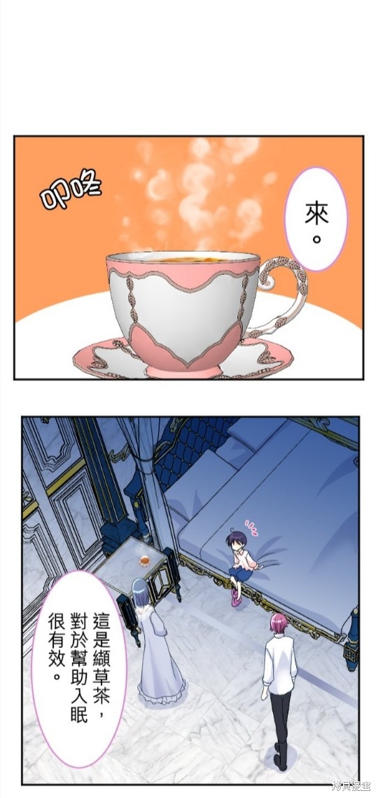 41.jpg