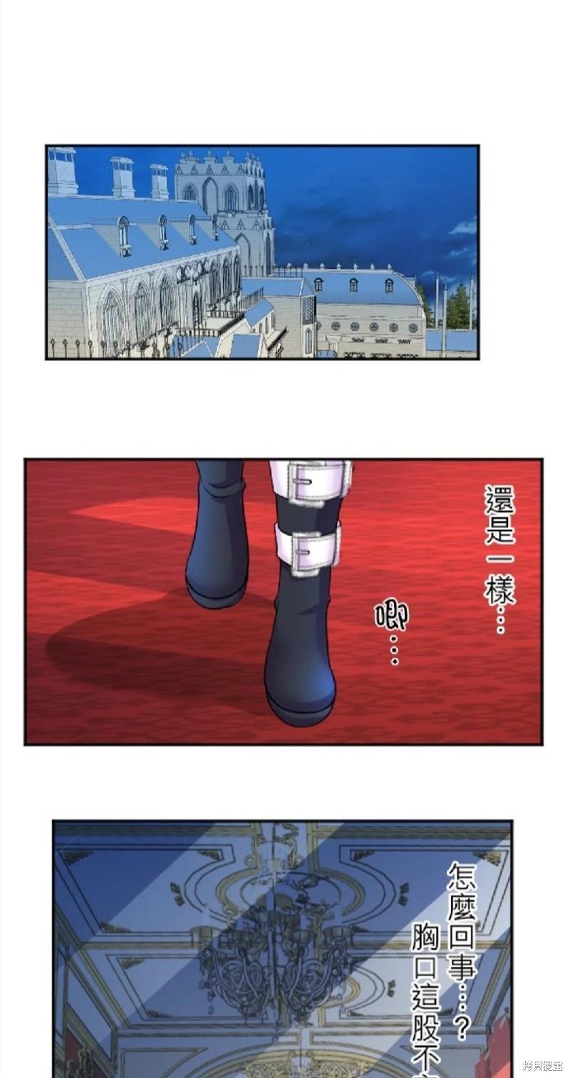 41.jpg