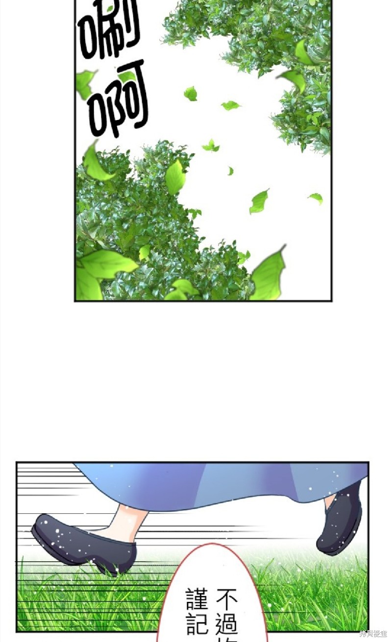 35.jpg