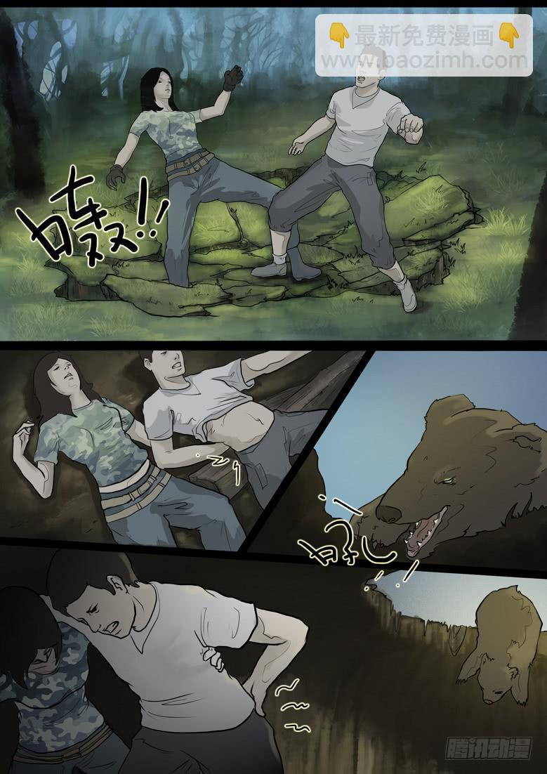 5.jpg