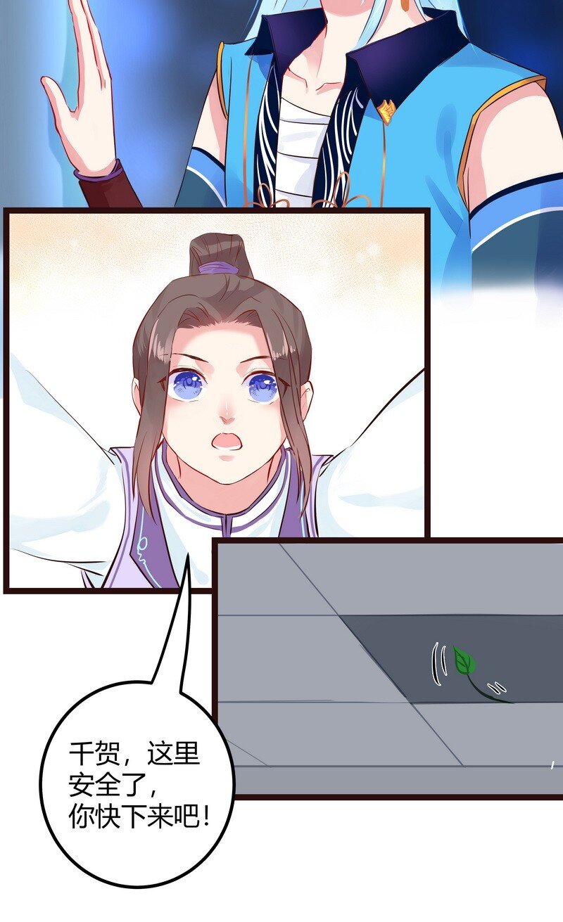11.jpg