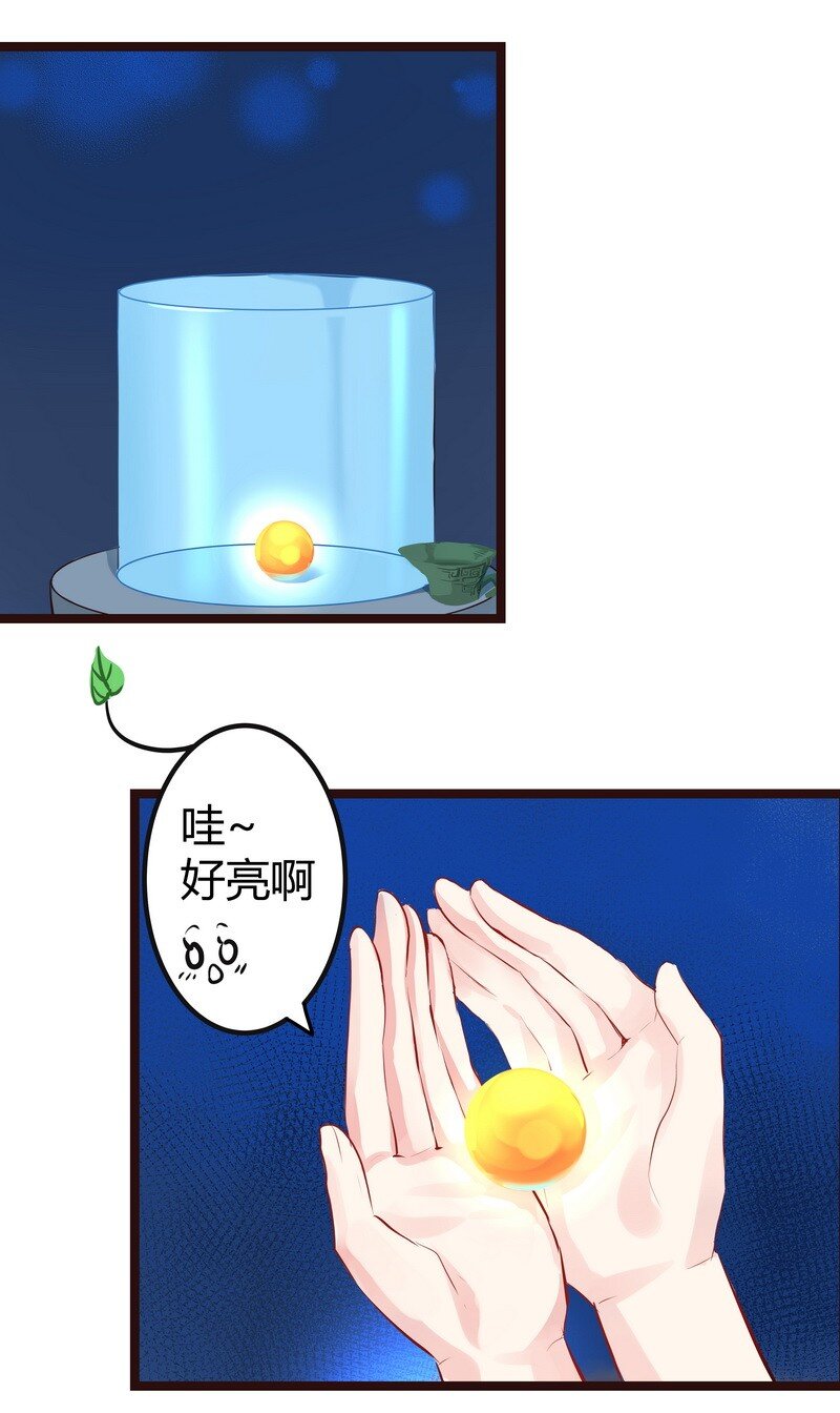 15.jpg