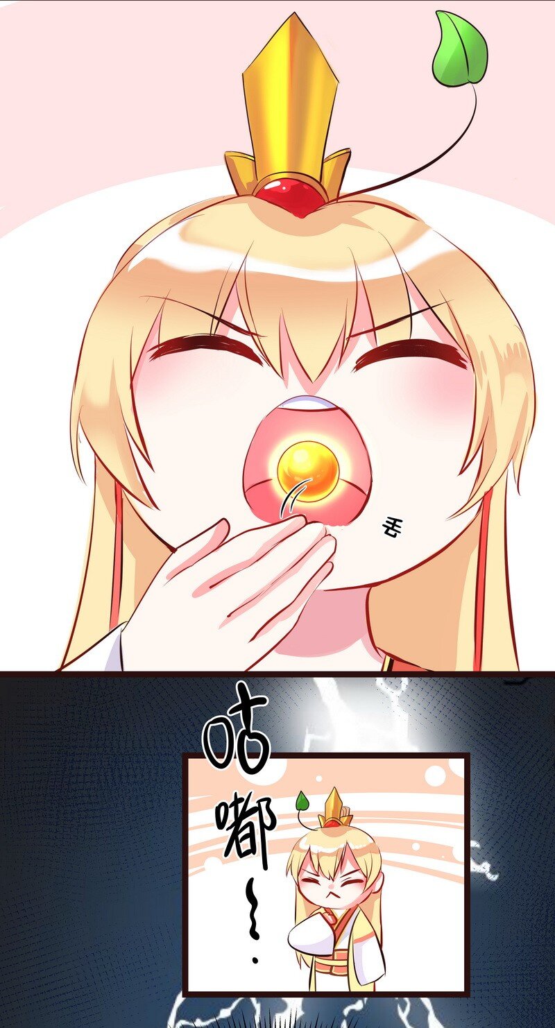 17.jpg