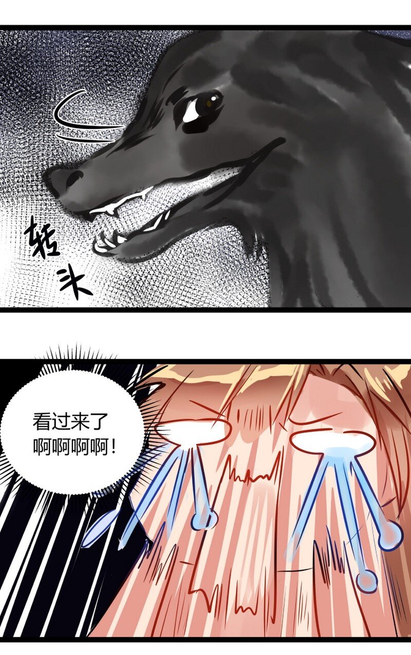 20.jpg