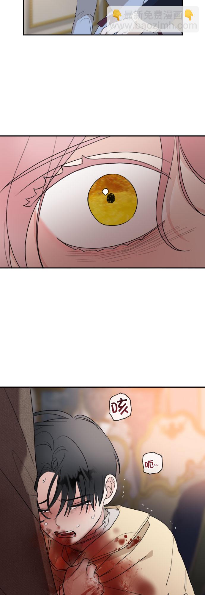 33.jpg