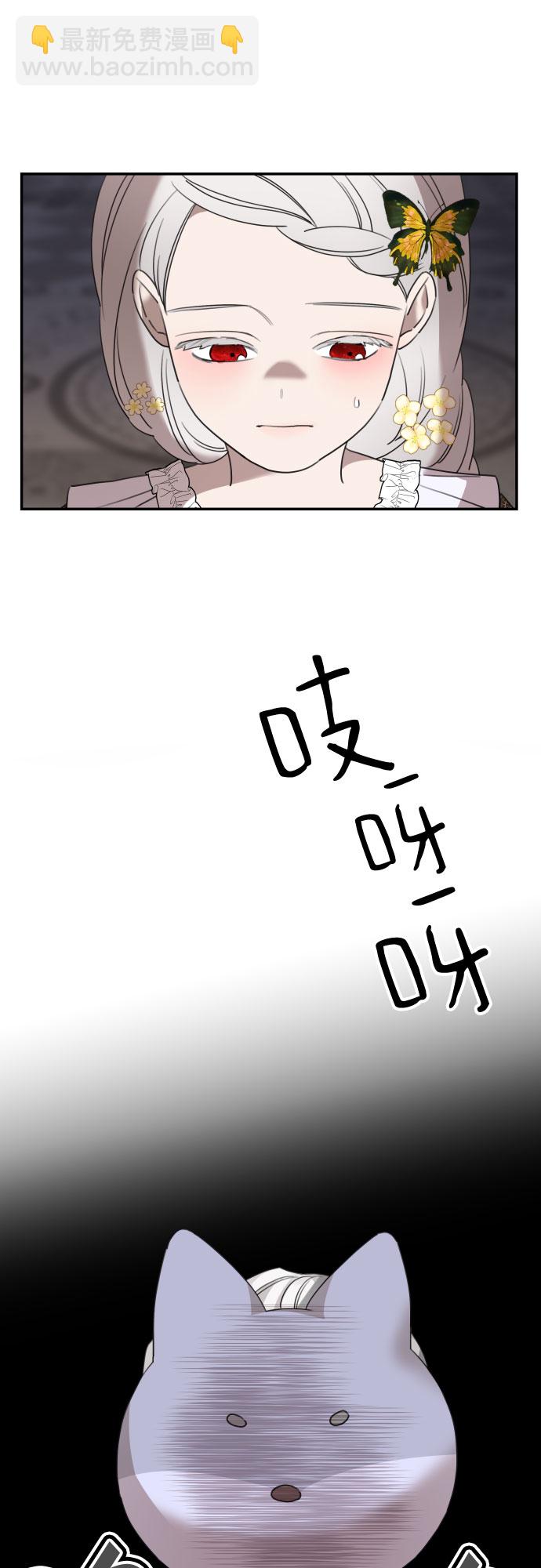 40.jpg