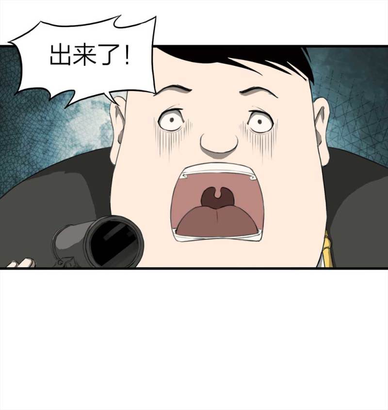 41.jpg