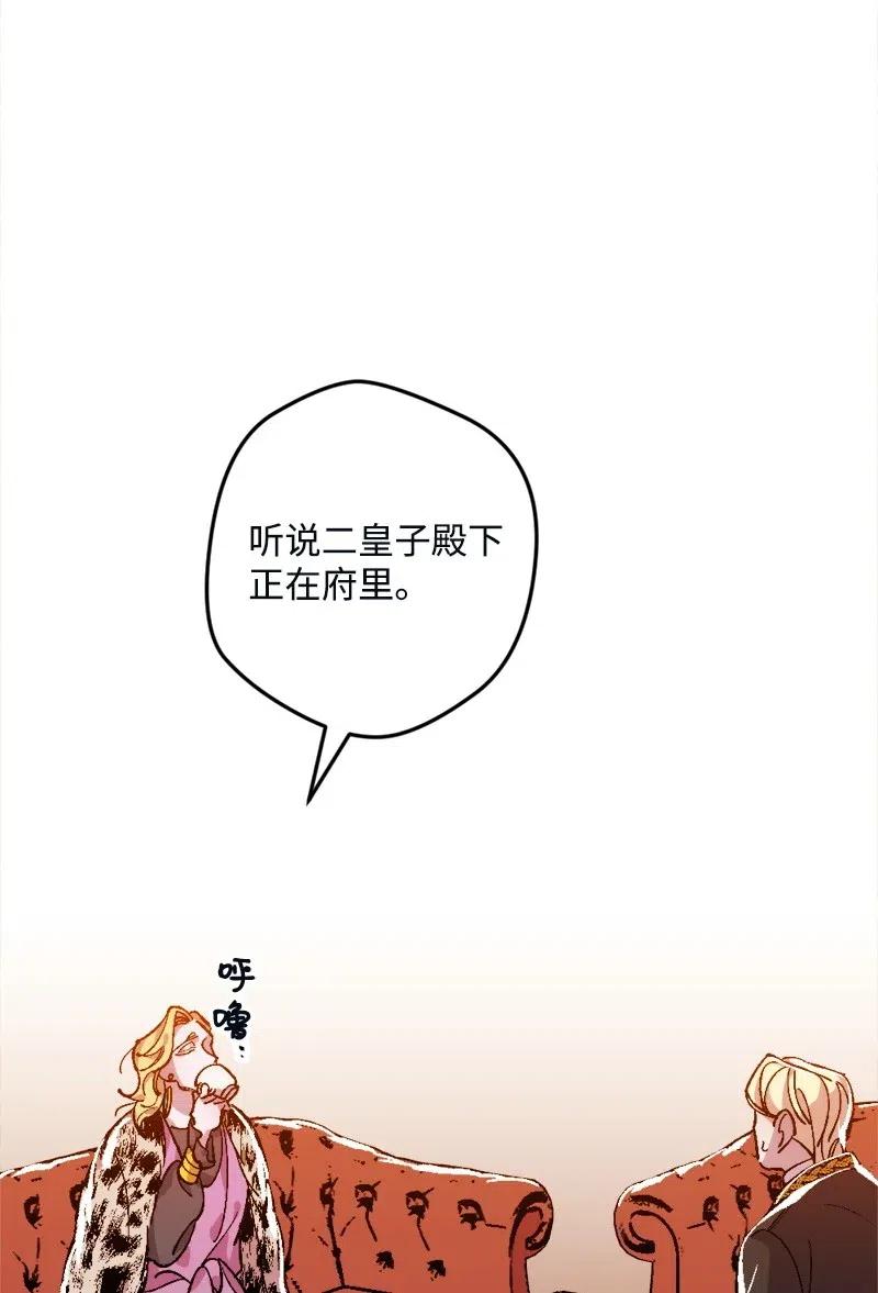 48.jpg