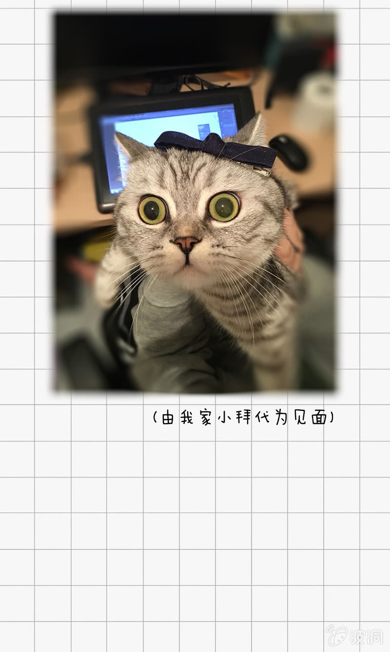 35.jpg