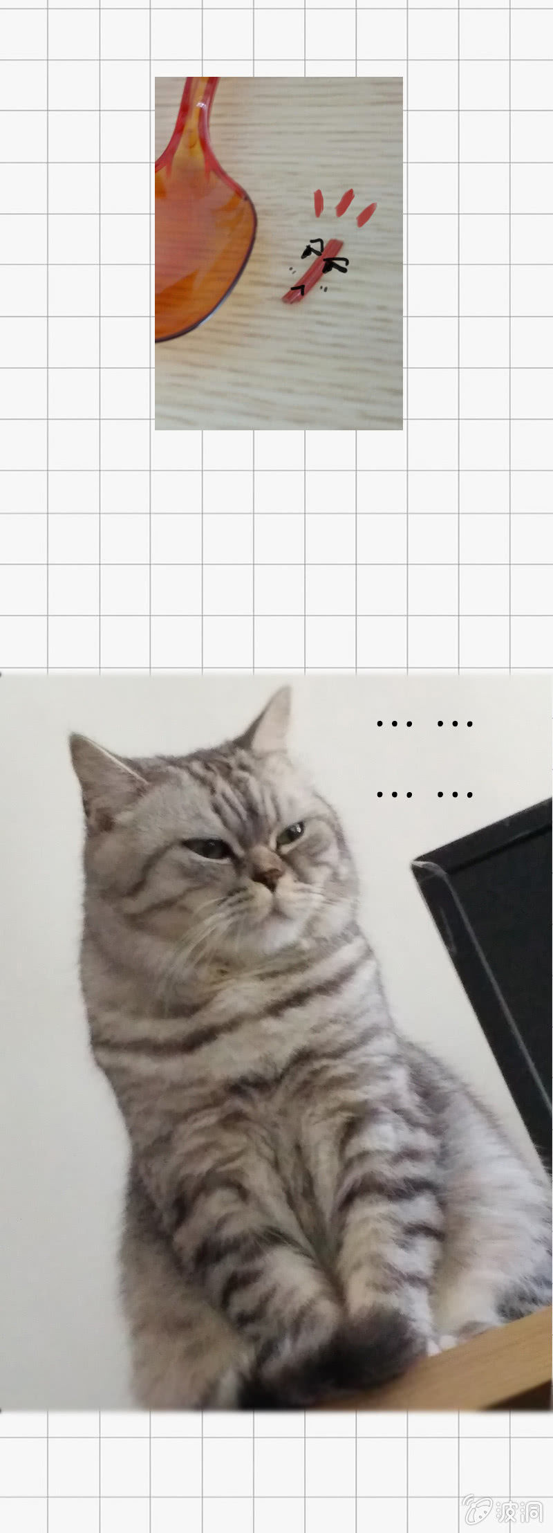 38.jpg