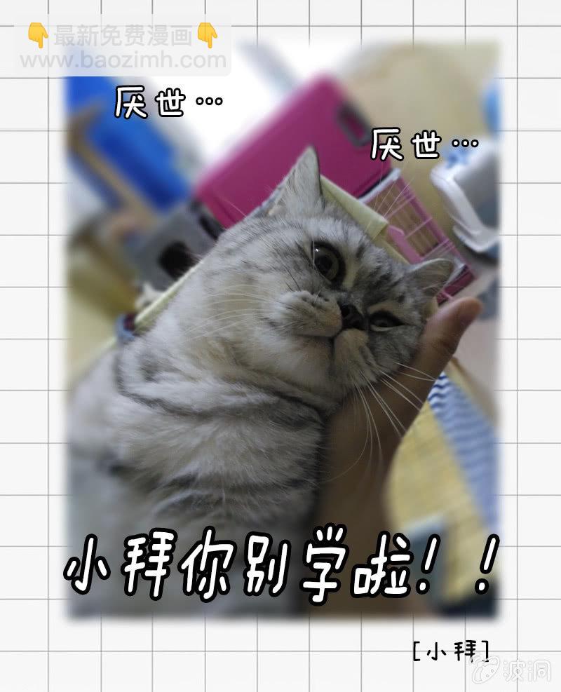 39.jpg