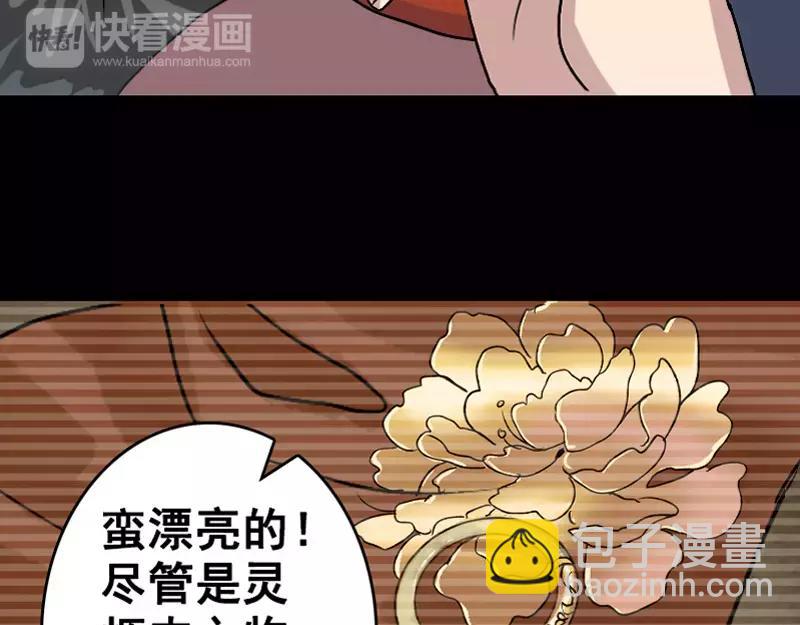 33.jpg