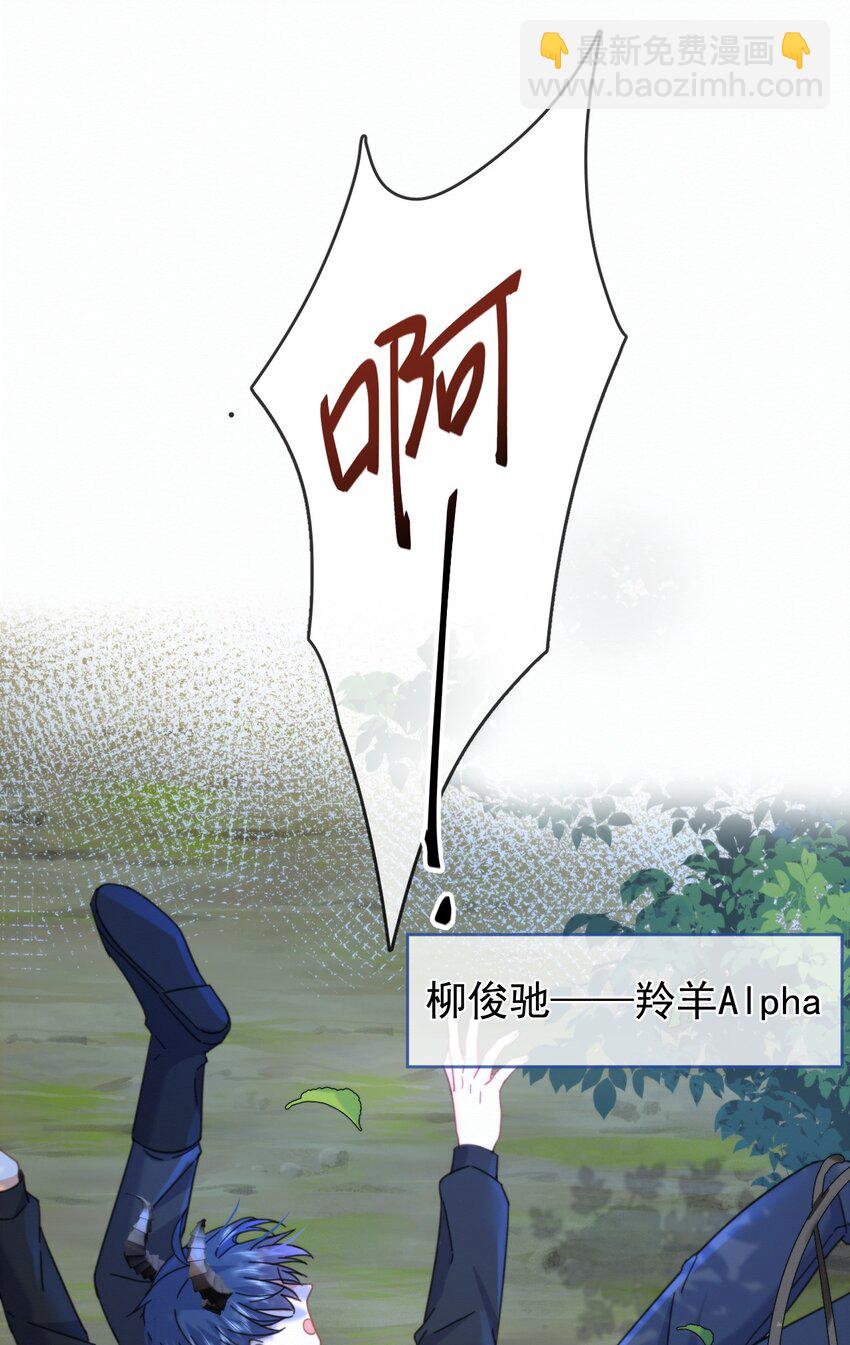 24.jpg