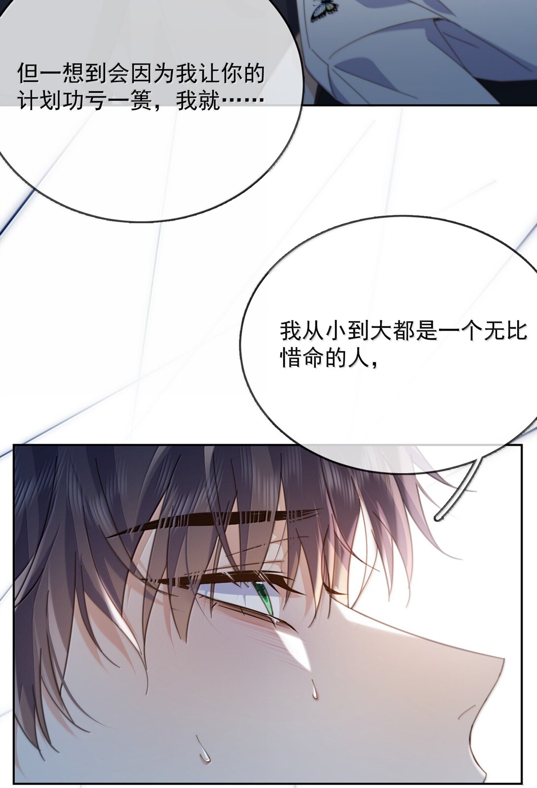 25.jpg