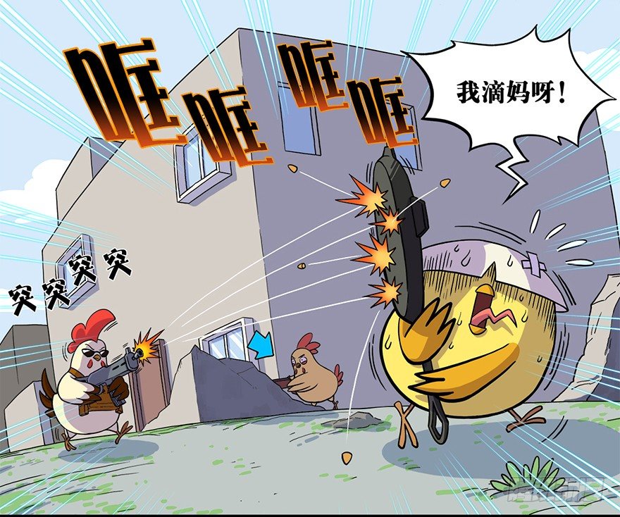 6.jpg