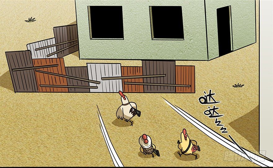 4.jpg