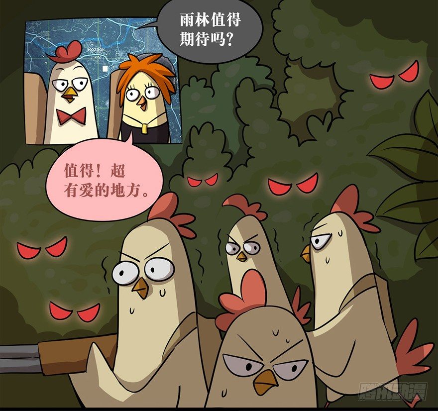 5.jpg