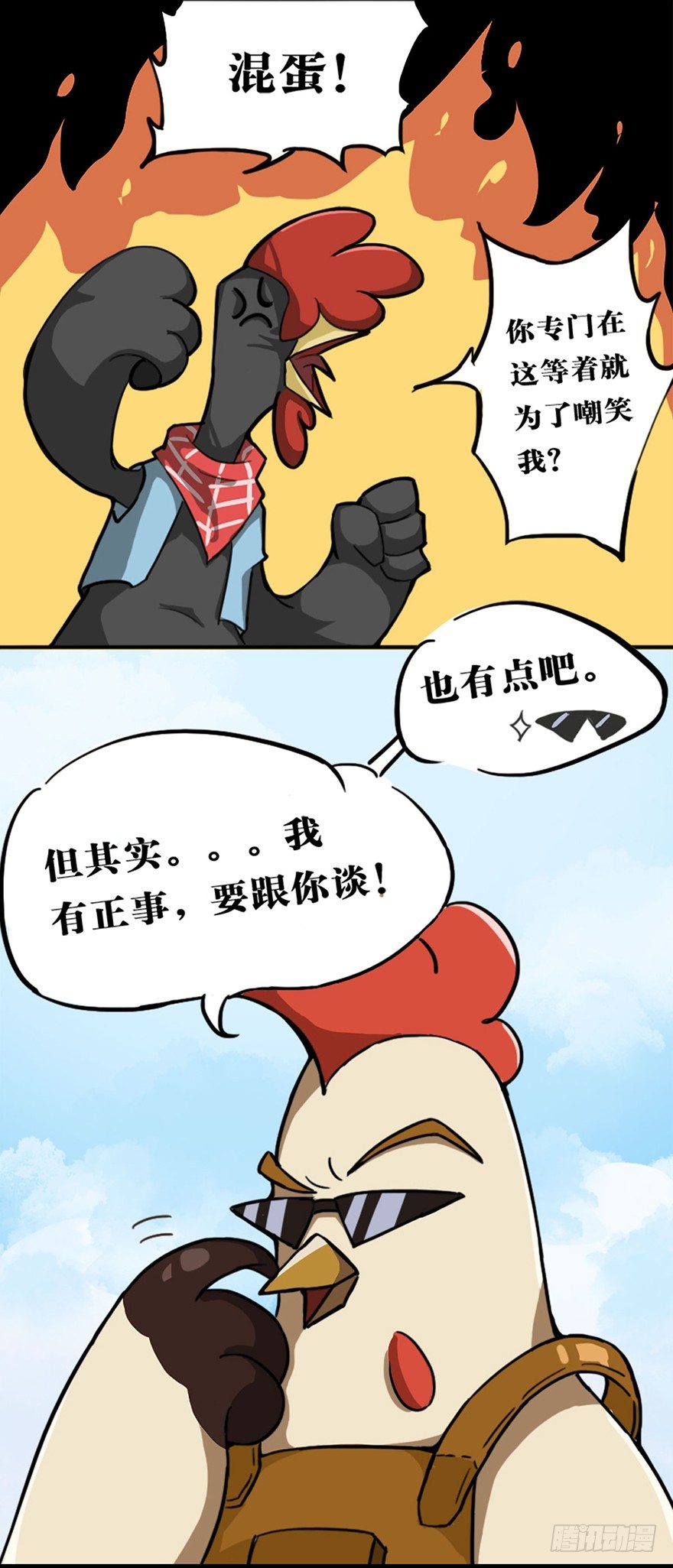 15.jpg