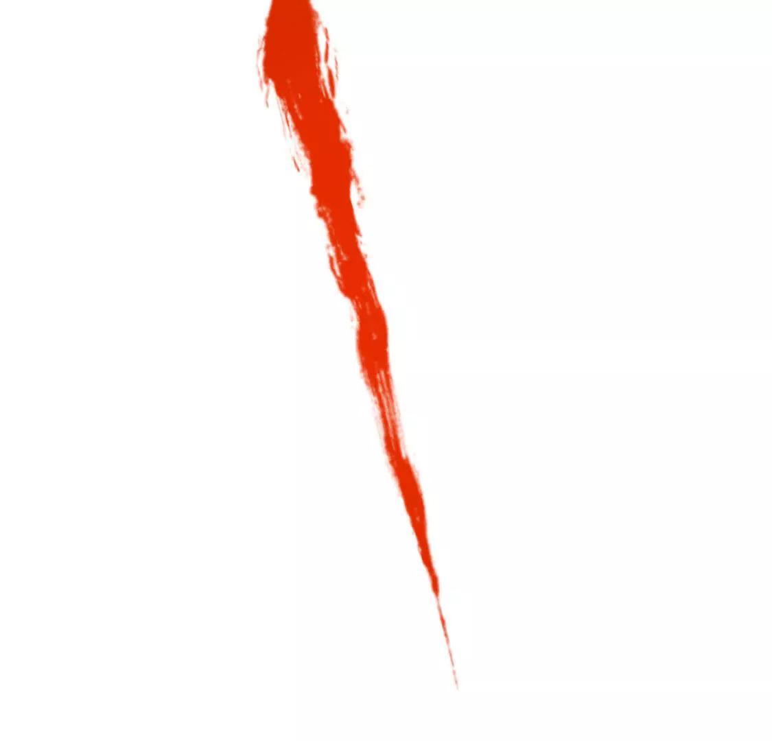 48.jpg