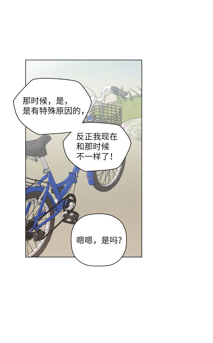 41.jpg