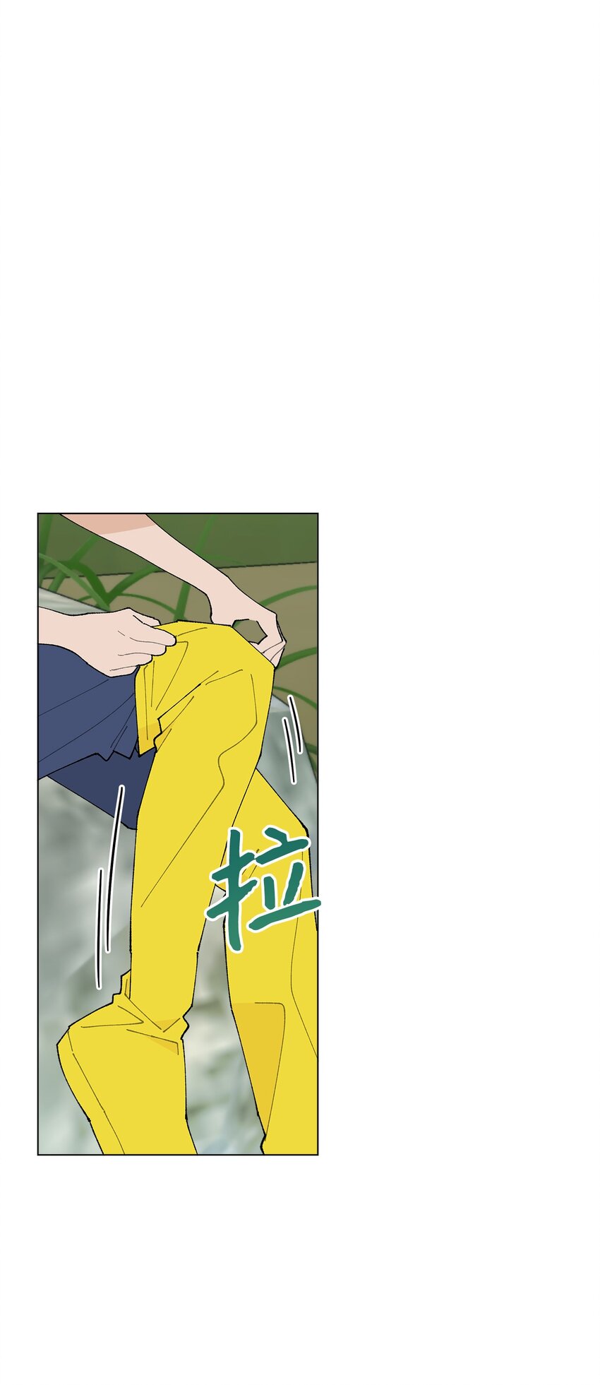 31.jpg