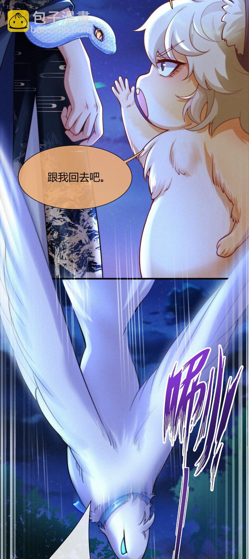 62.jpg