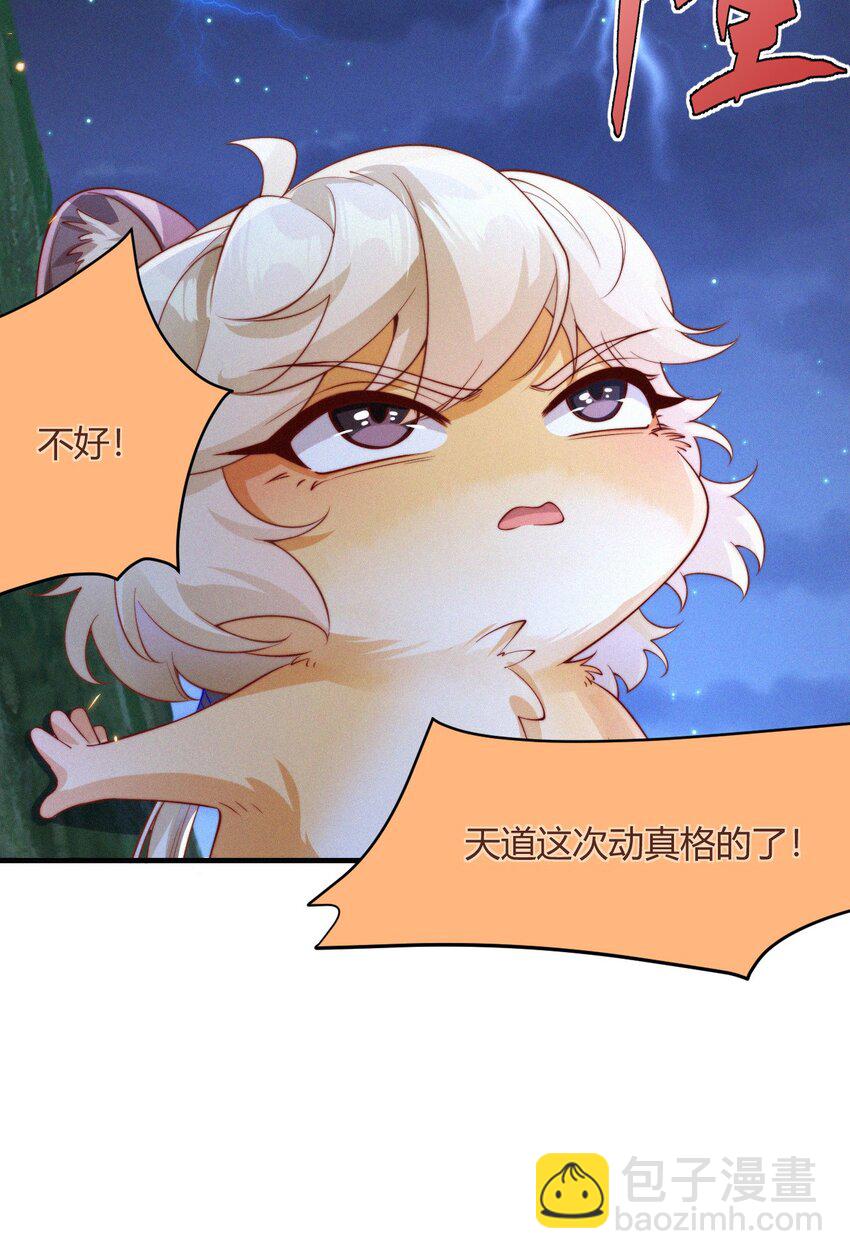 40.jpg