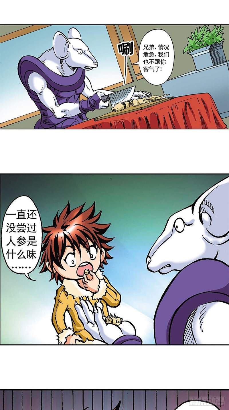 19.jpg