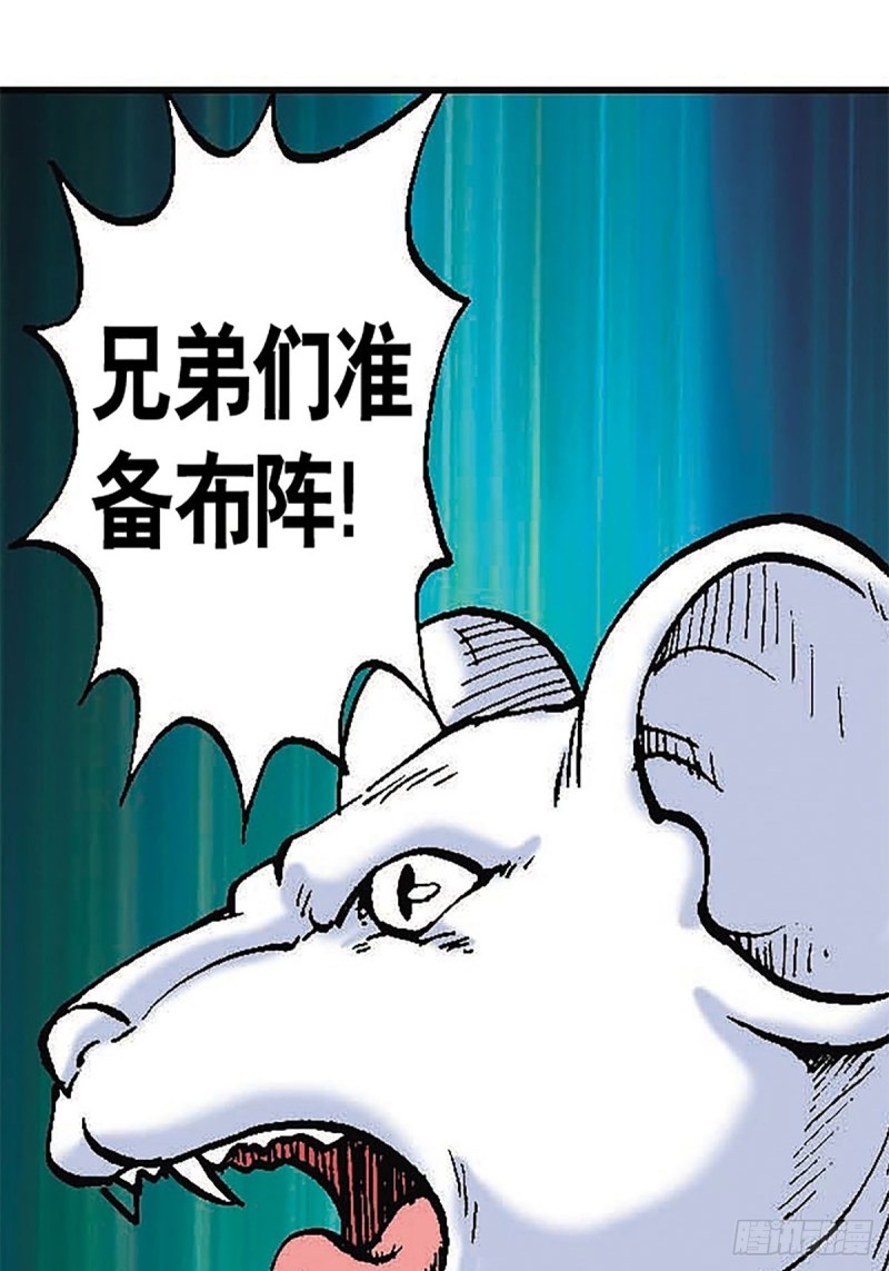 48.jpg