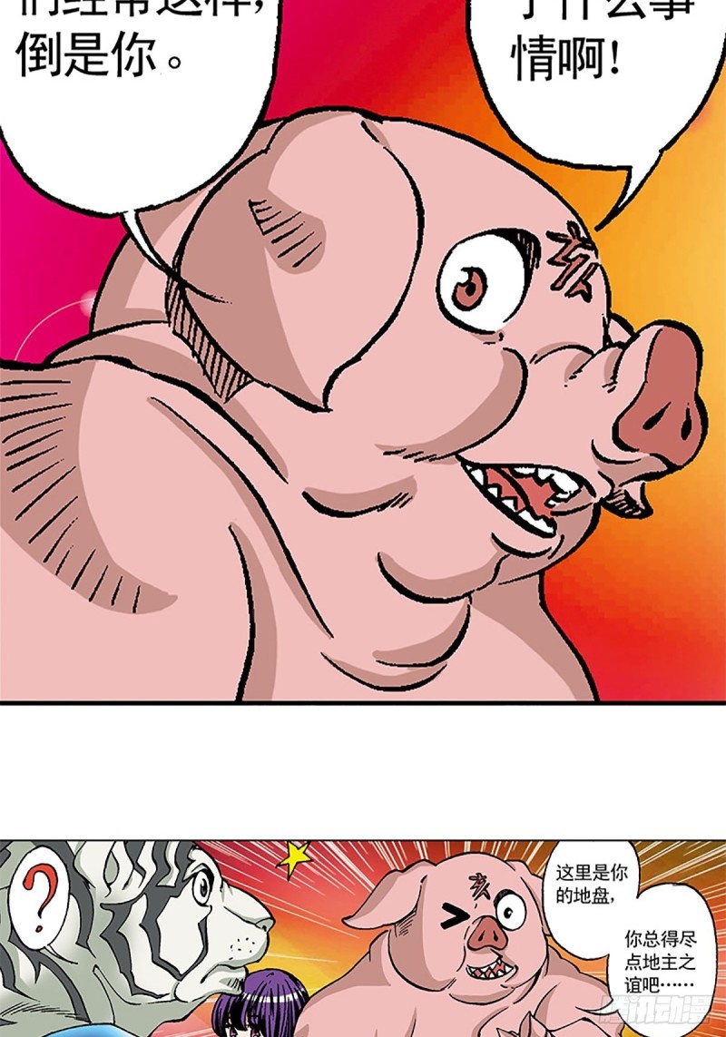 14.jpg