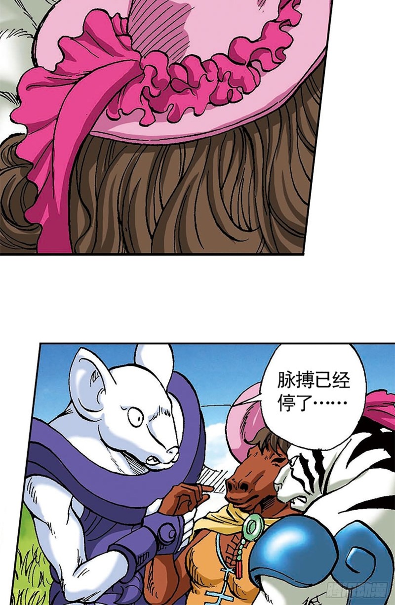 12.jpg